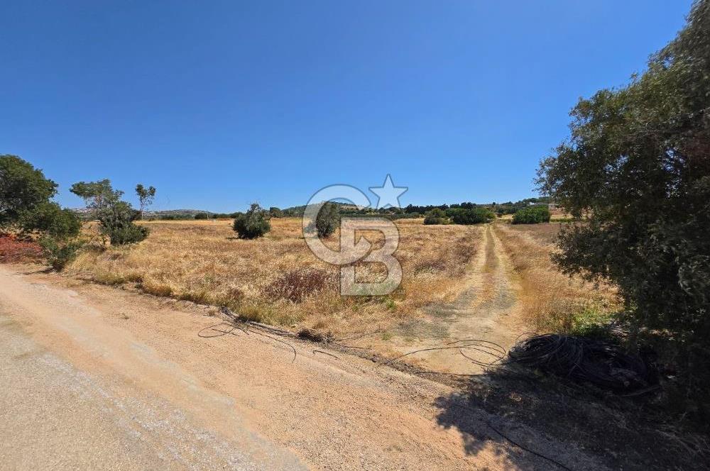 ÇEŞME MUSALLA'DA SATILIK 7.458 m² DEĞERLİ TARLA, 7,458 m² VALUABLE LAND FOR SALE IN ÇEŞME MUSALLA.