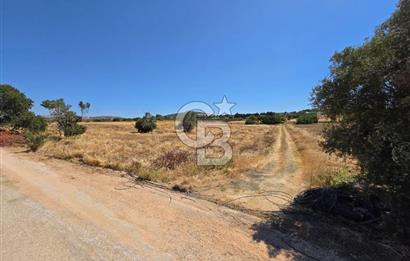 ÇEŞME MUSALLA'DA SATILIK 7.458 m² DEĞERLİ TARLA, 7,458 m² VALUABLE LAND FOR SALE IN ÇEŞME MUSALLA.