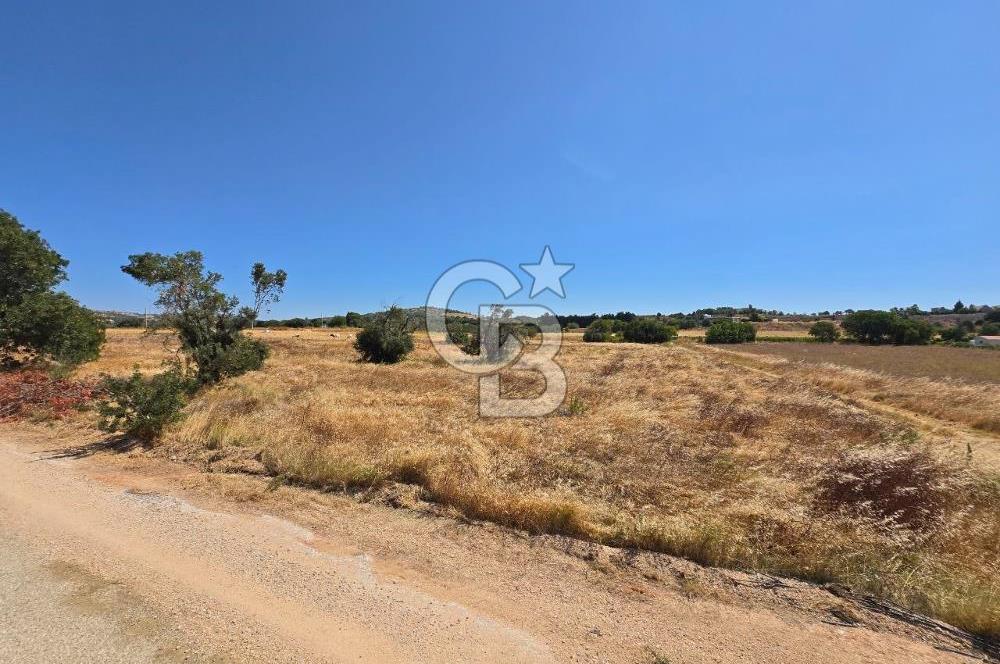 ÇEŞME MUSALLA'DA SATILIK 7.458 m² DEĞERLİ TARLA, 7,458 m² VALUABLE LAND FOR SALE IN ÇEŞME MUSALLA.