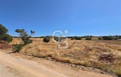 ÇEŞME MUSALLA'DA SATILIK 7.458 m² DEĞERLİ TARLA, 7,458 m² VALUABLE LAND FOR SALE IN ÇEŞME MUSALLA.