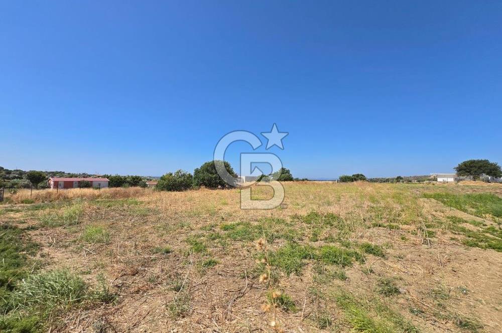 ÇEŞME MUSALLA'DA SATILIK 7.458 m² DEĞERLİ TARLA, 7,458 m² VALUABLE LAND FOR SALE IN ÇEŞME MUSALLA.