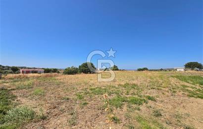 ÇEŞME MUSALLA'DA SATILIK 7.458 m² DEĞERLİ TARLA, 7,458 m² VALUABLE LAND FOR SALE IN ÇEŞME MUSALLA.