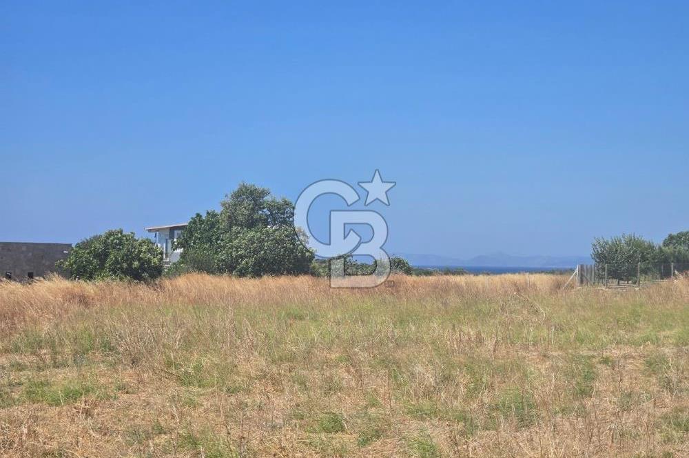 ÇEŞME MUSALLA'DA SATILIK 7.458 m² DEĞERLİ TARLA, 7,458 m² VALUABLE LAND FOR SALE IN ÇEŞME MUSALLA.