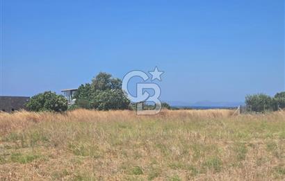ÇEŞME MUSALLA'DA SATILIK 7.458 m² DEĞERLİ TARLA, 7,458 m² VALUABLE LAND FOR SALE IN ÇEŞME MUSALLA.