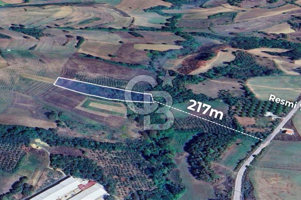 İZMİT GÜVERCİNLİK SATILIK MÜSTAKİL TAPULU 7469 m2 DEĞERLİ ARAZİ