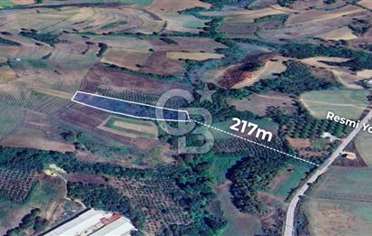 İZMİT GÜVERCİNLİK SATILIK MÜSTAKİL TAPULU 7469 m2 DEĞERLİ ARAZİ