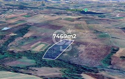İZMİT GÜVERCİNLİK SATILIK MÜSTAKİL TAPULU 7469 m2 DEĞERLİ ARAZİ