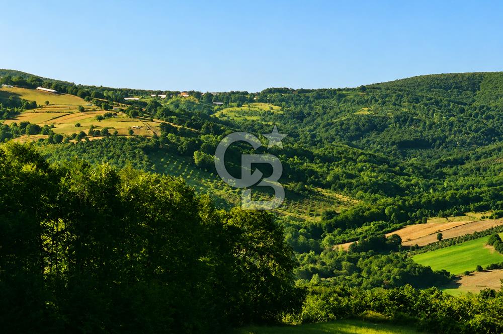 Kocaeli İzmit Balören’de 5.364 m² Satılık Yatırımlık Tarla | Tek Tapu