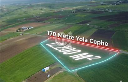 Silivri Kadıköy'de 12.200 m² Tarla Yola Cephe Elektrik Su mevcut