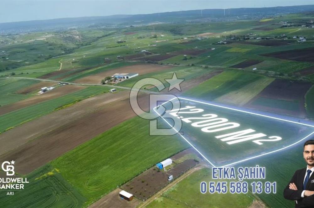 Silivri Kadıköy'de 12.200 m² Tarla Yola Cephe Elektrik Su mevcut