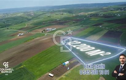 Silivri Kadıköy'de 12.200 m² Tarla Yola Cephe Elektrik Su mevcut