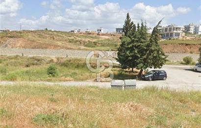 İzmir Seferihisar Akarca da Satılık Villa Arsası