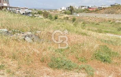 İzmir Seferihisar Akarca da Satılık Villa Arsası
