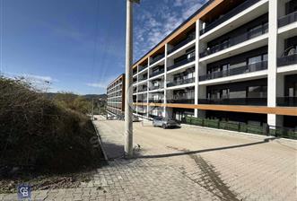 YALOVA KADIKÖY DE SATILIK VİLLALIK ARSA - 1 - 364257