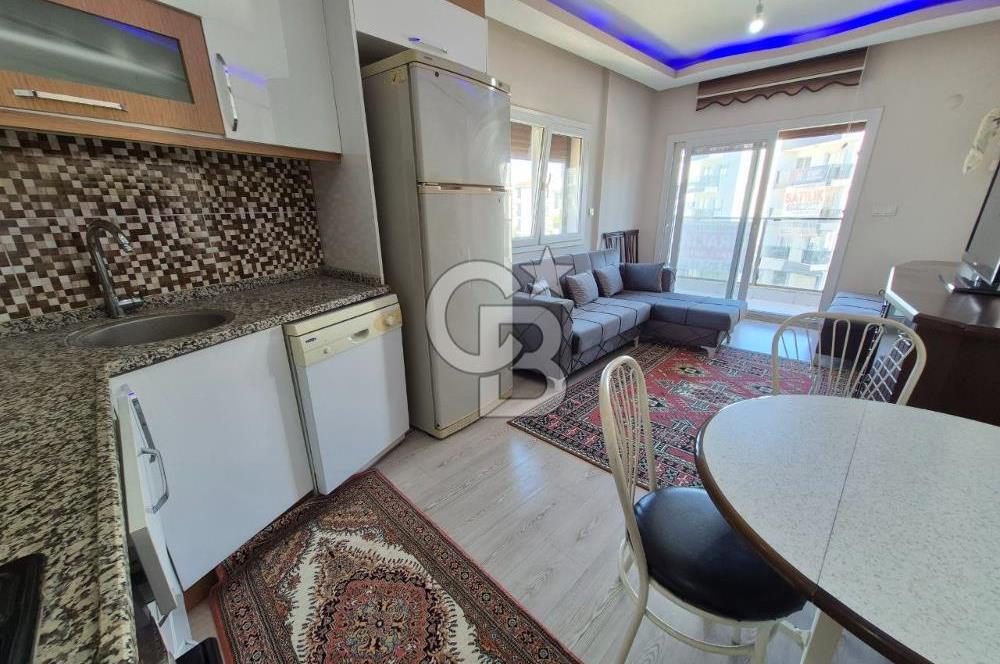 Seyrek Bakırçay Üniversitesi Yakını Kiralık D.Gazlı Eşyalı 1+1 Daire