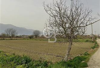 Bursa Gürsu da imara 300 metre de satılık arazi - 1 - 364354