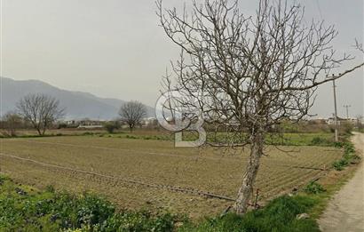 Bursa Gürsu da imara 300 metre de satılık arazi