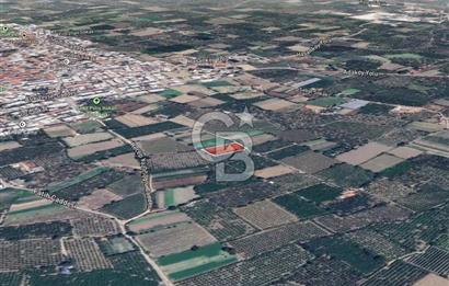 Bursa Gürsu da imara 300 metre de satılık arazi