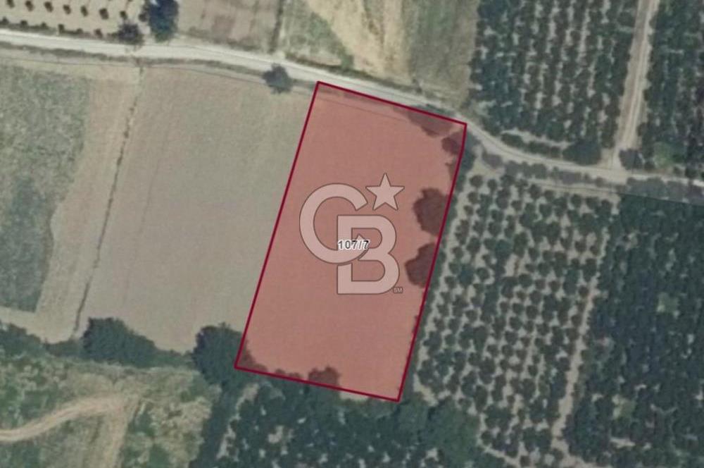 Bursa Gürsu da imara 300 metre de satılık arazi