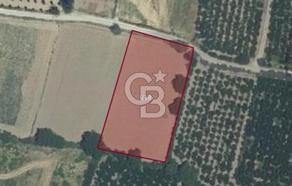Bursa Gürsu da imara 300 metre de satılık arazi