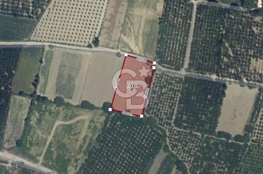 Bursa Gürsu da imara 300 metre de satılık arazi