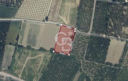 Bursa Gürsu da imara 300 metre de satılık arazi