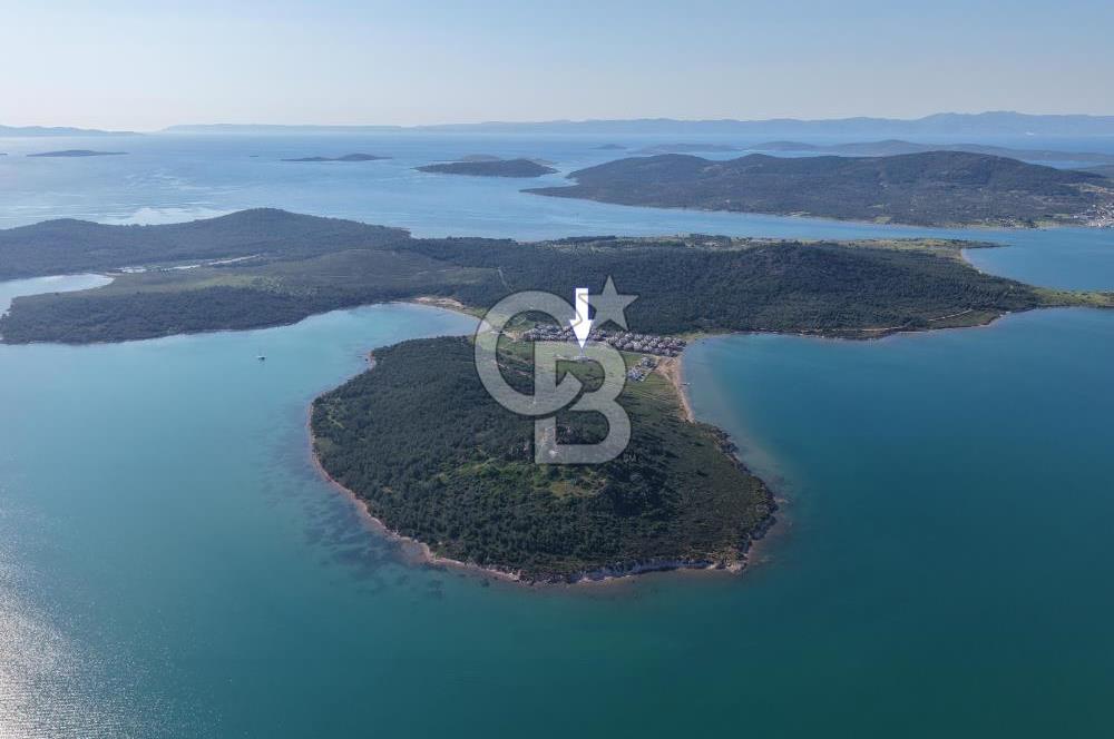 AYVALIK HAKKIBEY YARIMADASI'NDA DENİZE 100 M LÜKS 5+1 VİLLA
