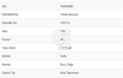 YUKARIOKÇULAR'DA *GES VE TARIMA* UYGUN 6 DÖNÜM SATILIK TARLA