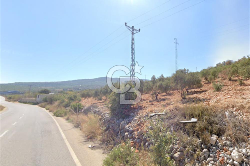 YUKARIOKÇULAR'DA *3.797 M2* ÇİFT ASFALT CEPHELİ-SATILIK TARLA