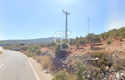 YUKARIOKÇULAR'DA *3.797 M2* ÇİFT ASFALT CEPHELİ-SATILIK TARLA
