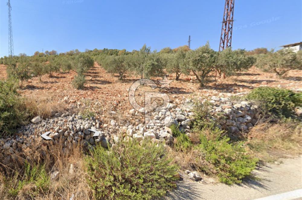 YUKARIOKÇULAR'DA *3.797 M2* ÇİFT ASFALT CEPHELİ-SATILIK TARLA
