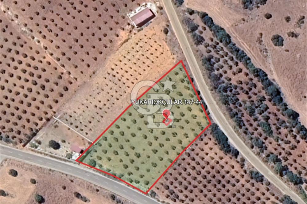 YUKARIOKÇULAR'DA *3.797 M2* ÇİFT ASFALT CEPHELİ-SATILIK TARLA