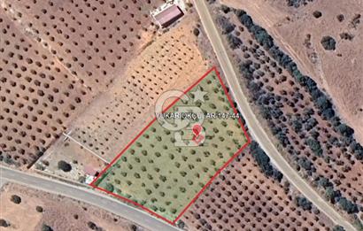 YUKARIOKÇULAR'DA *3.797 M2* ÇİFT ASFALT CEPHELİ-SATILIK TARLA