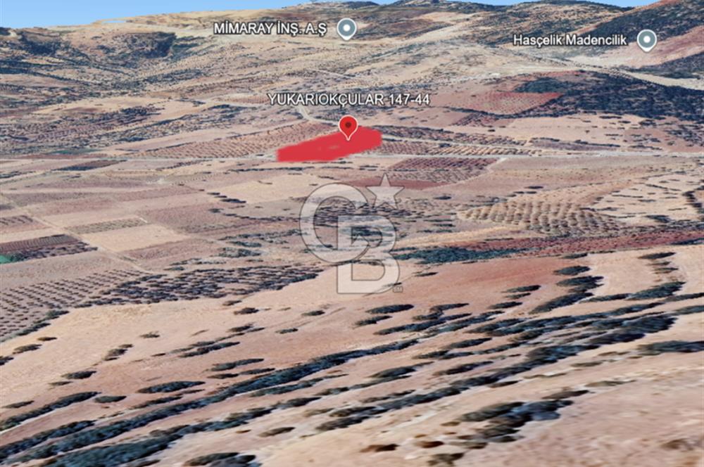 YUKARIOKÇULAR'DA *3.797 M2* ÇİFT ASFALT CEPHELİ-SATILIK TARLA