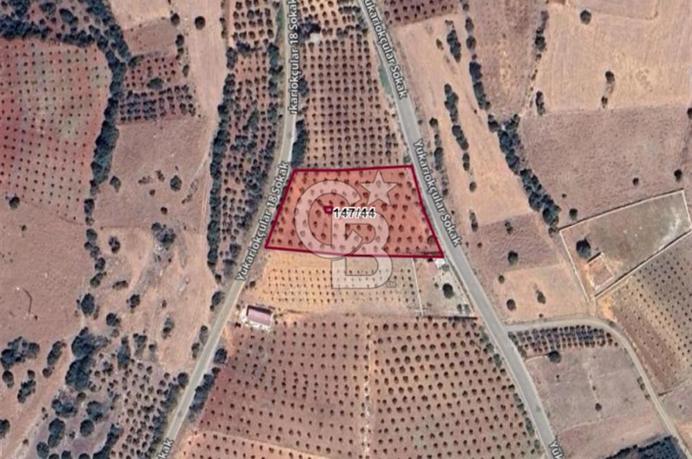 YUKARIOKÇULAR'DA *3.797 M2* ÇİFT ASFALT CEPHELİ-SATILIK TARLA