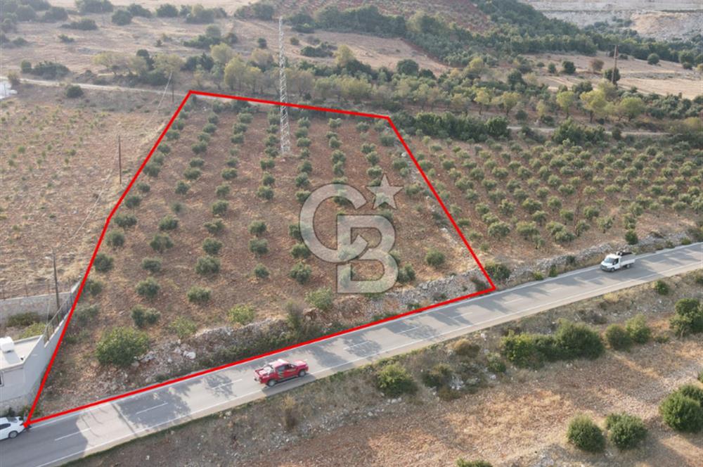 YUKARIOKÇULAR'DA *3.797 M2* ÇİFT ASFALT CEPHELİ-SATILIK TARLA