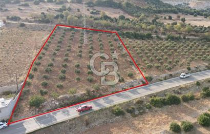 YUKARIOKÇULAR'DA *3.797 M2* ÇİFT ASFALT CEPHELİ-SATILIK TARLA