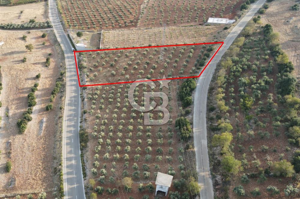 YUKARIOKÇULAR'DA *3.797 M2* ÇİFT ASFALT CEPHELİ-SATILIK TARLA