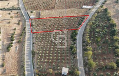 YUKARIOKÇULAR'DA *3.797 M2* ÇİFT ASFALT CEPHELİ-SATILIK TARLA