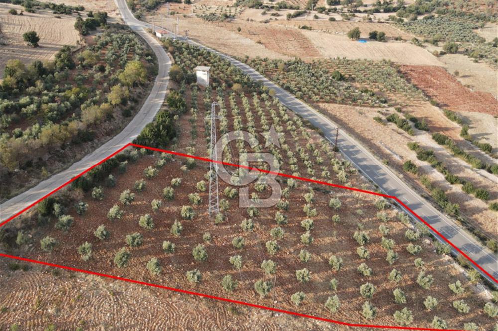 YUKARIOKÇULAR'DA *3.797 M2* ÇİFT ASFALT CEPHELİ-SATILIK TARLA
