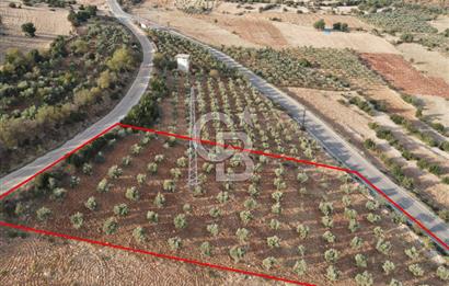 YUKARIOKÇULAR'DA *3.797 M2* ÇİFT ASFALT CEPHELİ-SATILIK TARLA