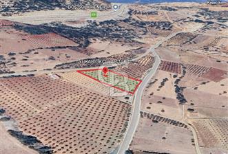 YUKARIOKÇULAR'DA *3.797 M2* ÇİFT ASFALT CEPHELİ-SATILIK TARLA - 1 - 364325