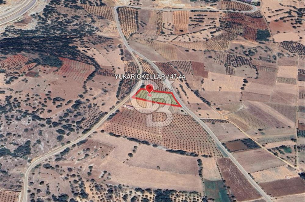 YUKARIOKÇULAR'DA *3.797 M2* ÇİFT ASFALT CEPHELİ-SATILIK TARLA