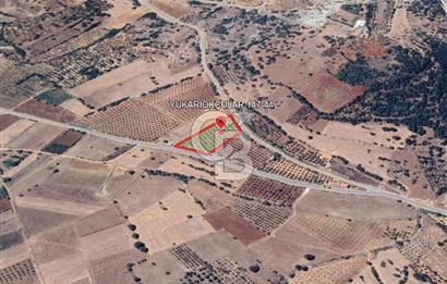 YUKARIOKÇULAR'DA *3.797 M2* ÇİFT ASFALT CEPHELİ-SATILIK TARLA
