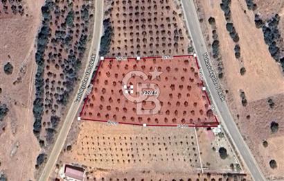 YUKARIOKÇULAR'DA *3.797 M2* ÇİFT ASFALT CEPHELİ-SATILIK TARLA