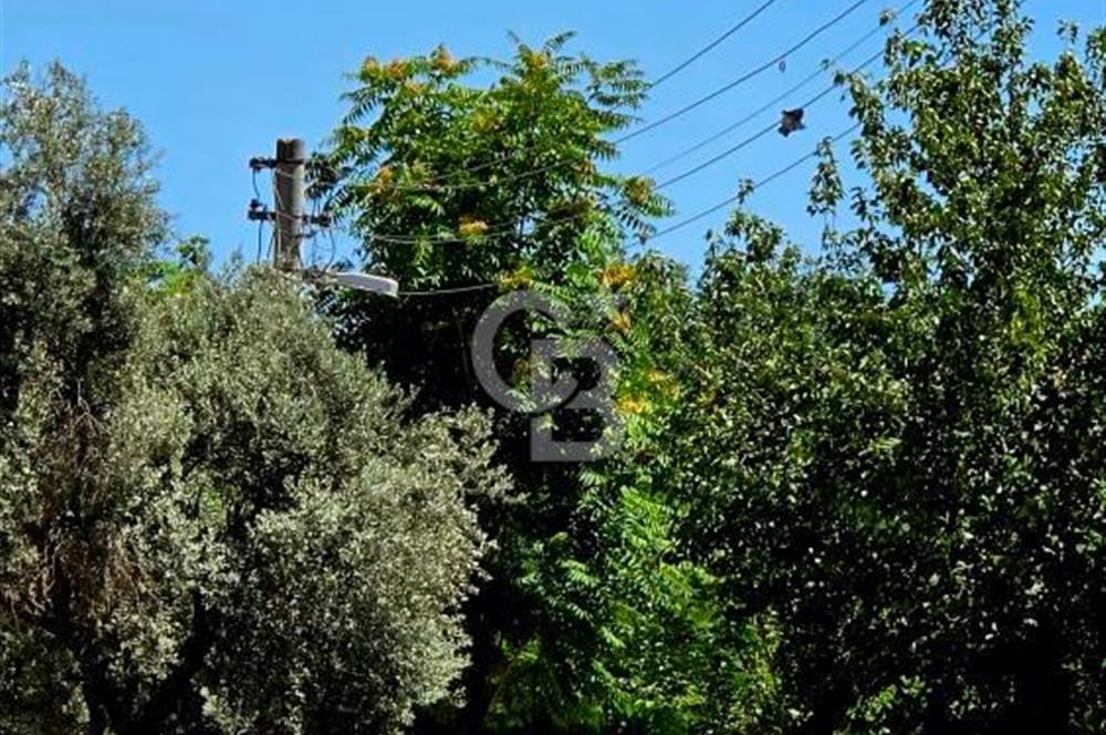 BUCA FORBEST CADDESİ’NDE MERKEZİ LOKASYONDA LÜKS EŞYALI 2+1 KİRALIK DAİRE