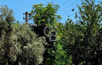 BUCA FORBEST CADDESİ’NDE MERKEZİ LOKASYONDA LÜKS EŞYALI 2+1 KİRALIK DAİRE
