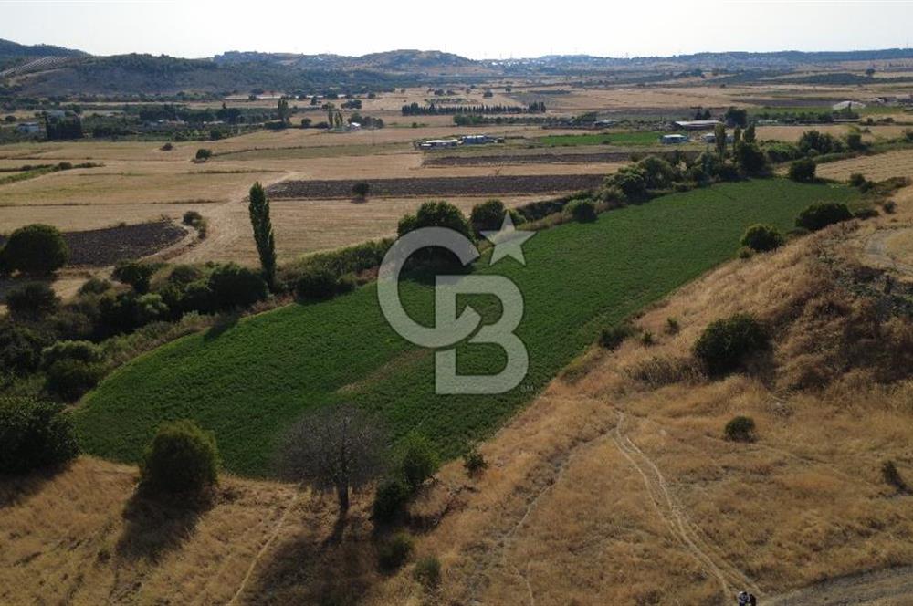 CB ODAK'TAN GÜZELHİSAR'DA SATILIK 4.149 m² MÜSTAKİL TAPULU TARLA