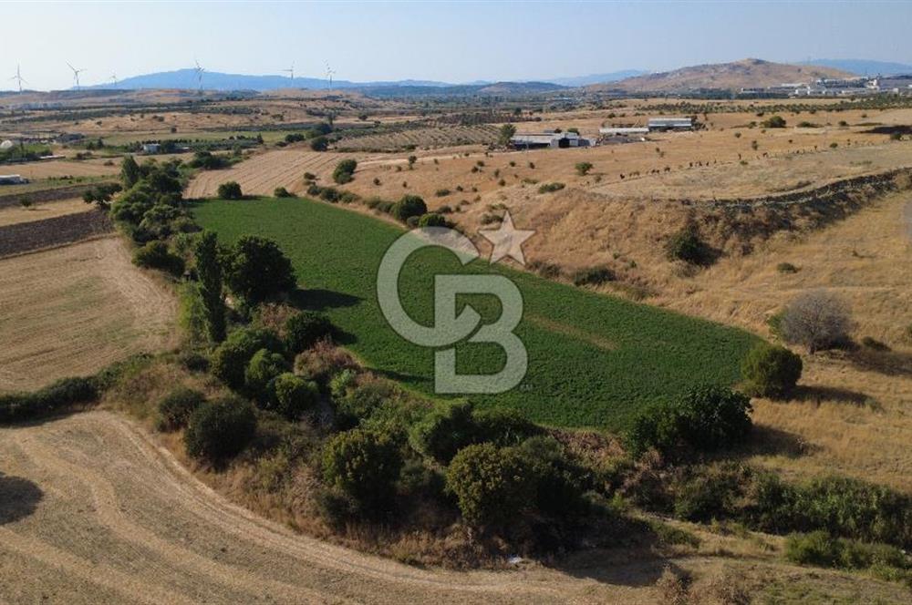 CB ODAK'TAN GÜZELHİSAR'DA SATILIK 4.149 m² MÜSTAKİL TAPULU TARLA