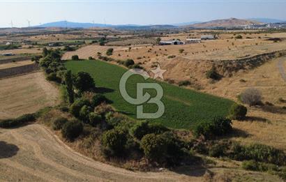 CB ODAK'TAN GÜZELHİSAR'DA SATILIK 4.149 m² MÜSTAKİL TAPULU TARLA